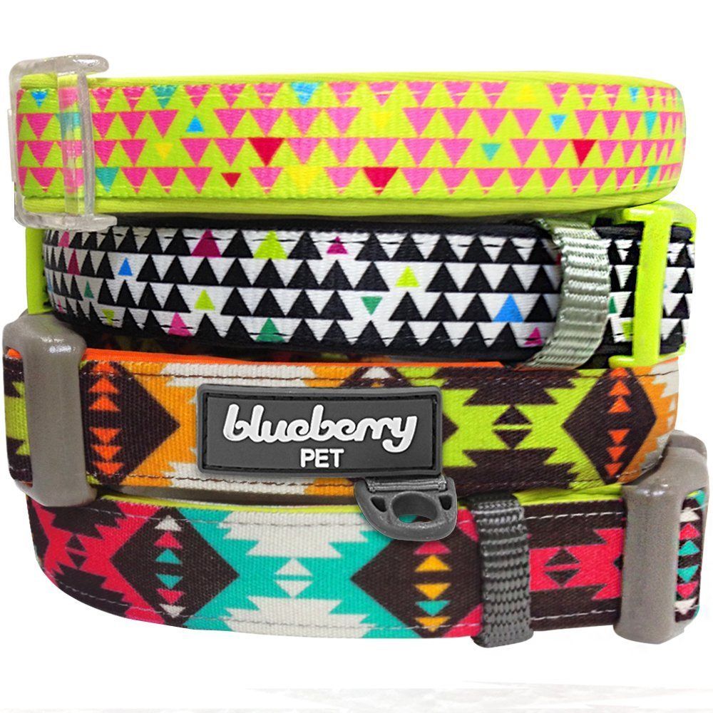 Best Large Breed Collars for Your Dog